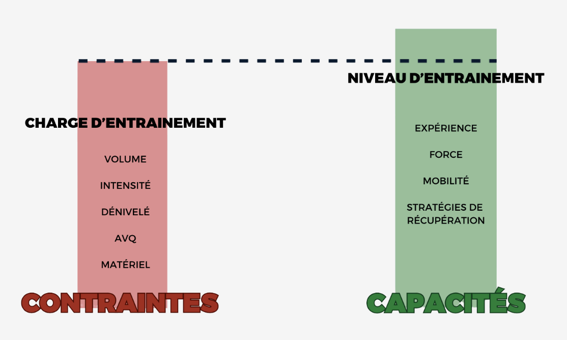 Le renforcement du coureur : prévention et performance