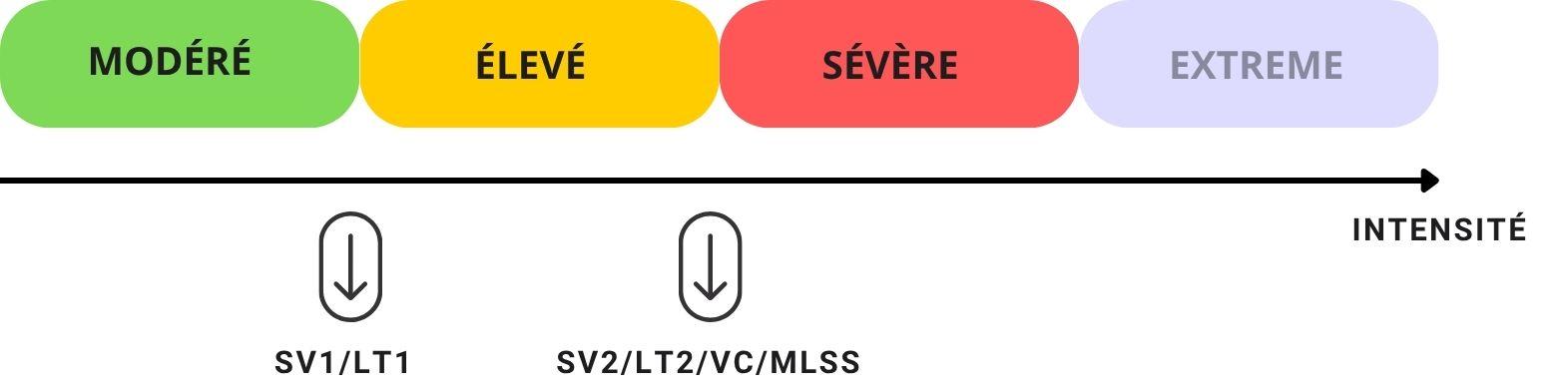 Le spectre d'intensité : comprendre les domaines physiologiques
